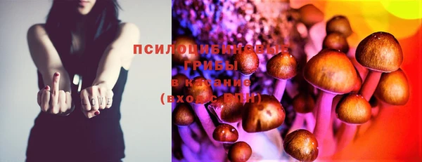 прущие крисы Баксан