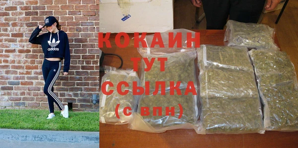 PSILOCYBIN Балабаново