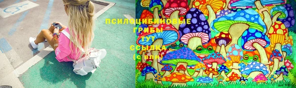 прущие крисы Баксан