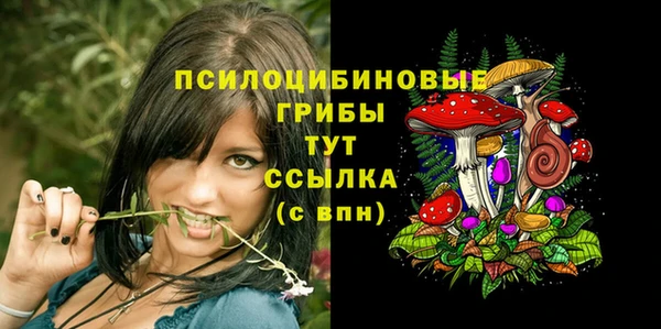 прущие крисы Баксан