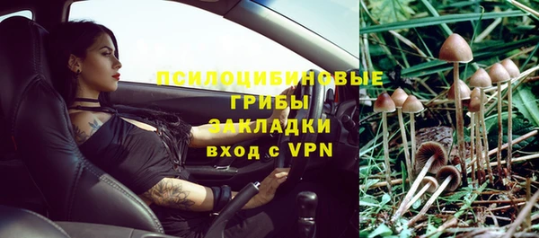 ПСИЛОЦИБИНОВЫЕ ГРИБЫ Балахна