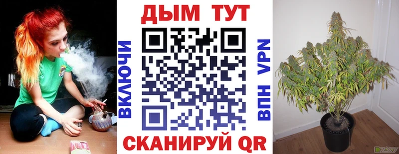 Конопля ГИДРОПОН OMG вход Северо-Курильск